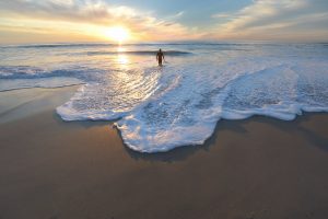https://unsplash.com/@frankiefoto