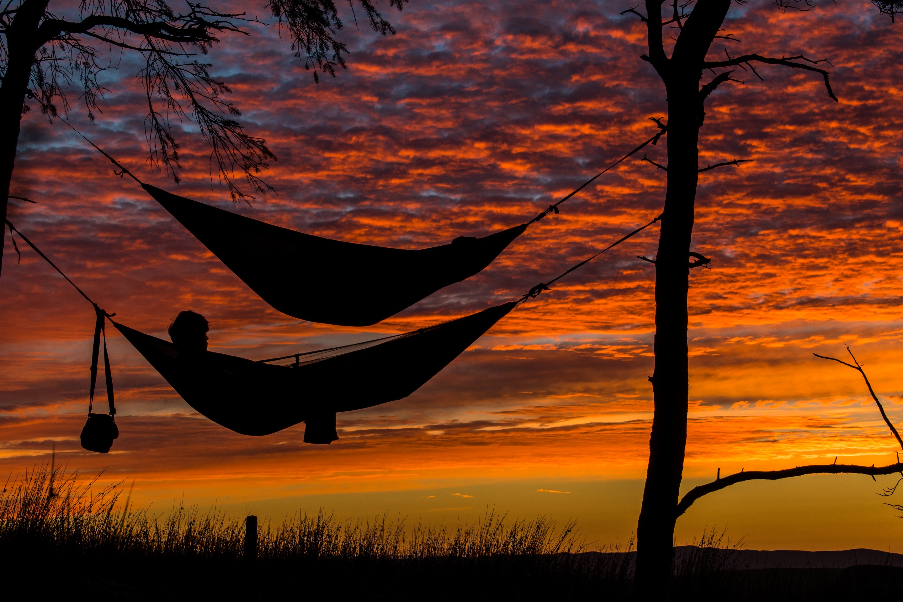 https://unsplash.com/@somechrisguy